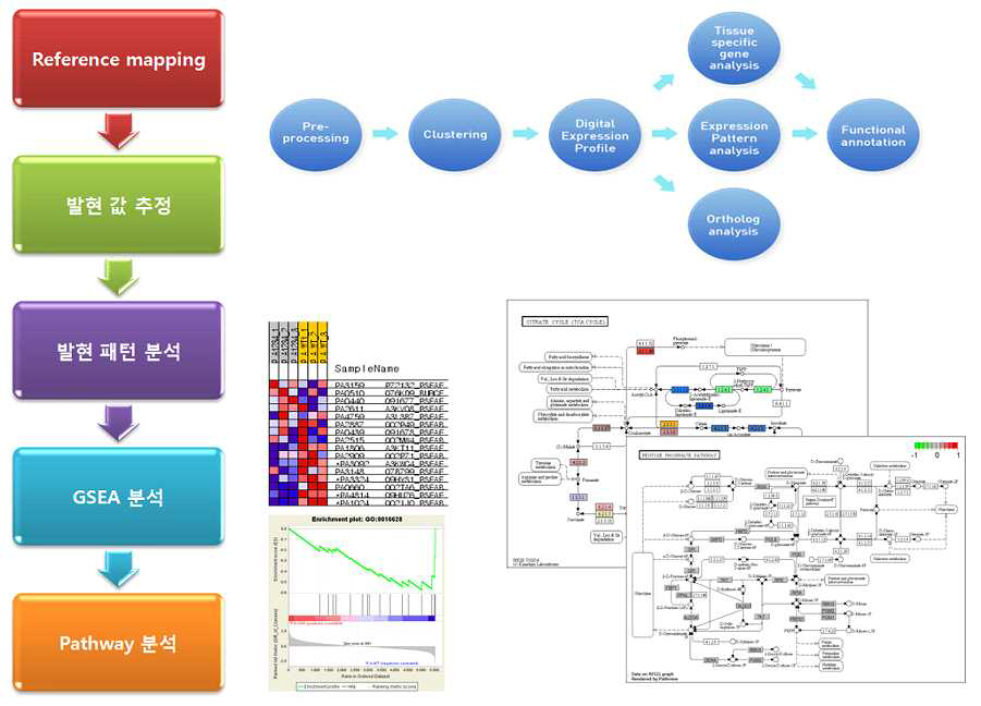 mRNA에 대한 RNA-seq 분석 방법