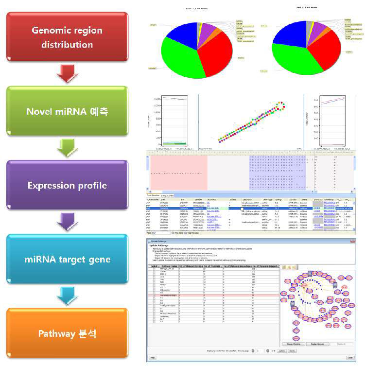 Small RNA-seq 분석 방법