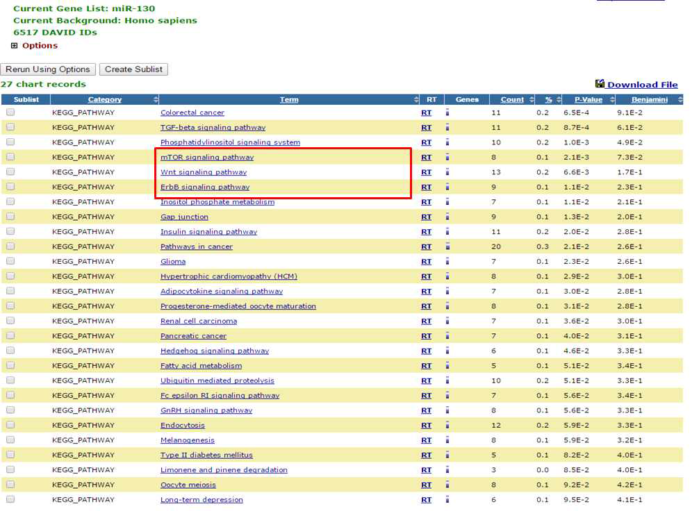 miR-130의 타겟 유전자들을 이용한 pathway 분석 결과