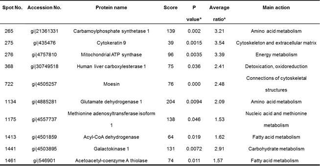 Representative differentially expressed proteins identified from 2D-DIGE analysis and MALDI-TOF MS