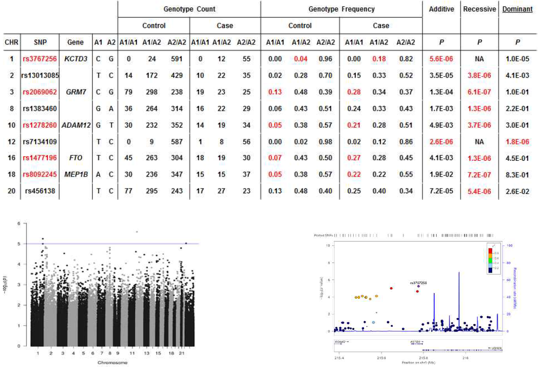 한국인체자원은행 코호트를 대상으로 한 지방간 환자의 유전자 다형성 분석. KCD3, ADAM12, GRM7, FTO, MEP1B 등의 유전자 다형성이 높은 유의성을 보임