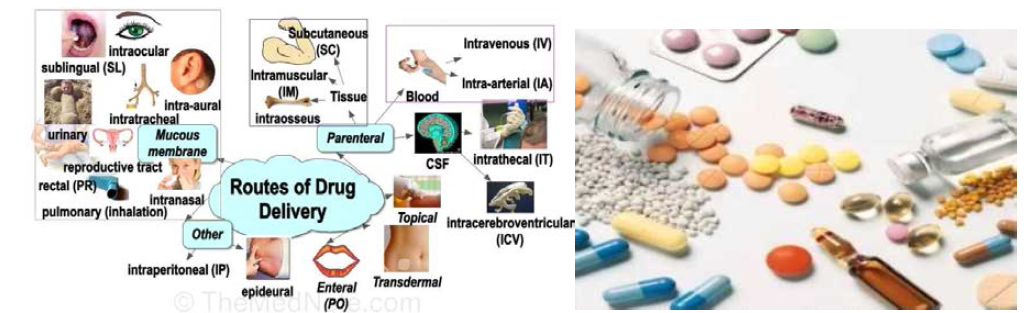 다양한 약물 투약 경로와 다양한 약물의 제형