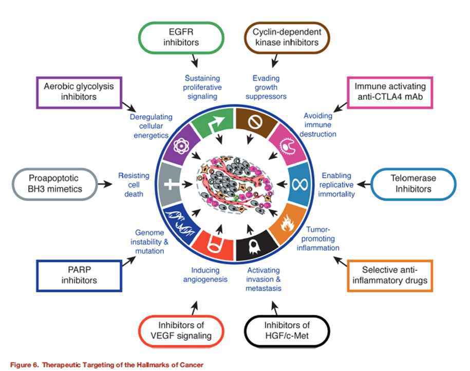 암세포의 특징과 이를 이용한 치료제 개발의 현황 (Cell, 144(5) pp. 646 – 674, 2011)
