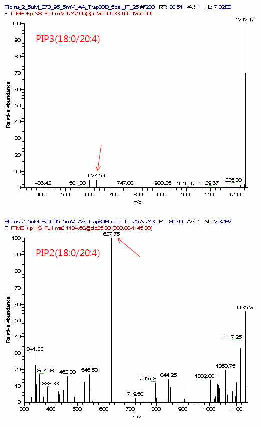 PIP/PIP2/PIP3표준물질의 검출