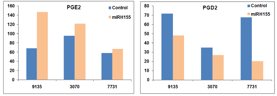 유방암 primary cell에서의 miR-155의 과발현에 따른 PGD2, PGE2의 발현변화