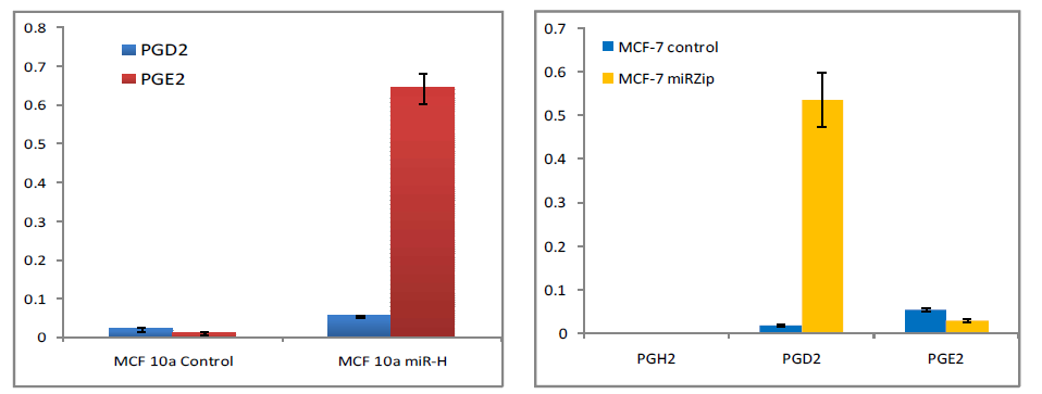 miR-155가 조절된 MCF10A와 MCF-7세포에서 PGD2/PGE2 synthase 유전자 발현변화