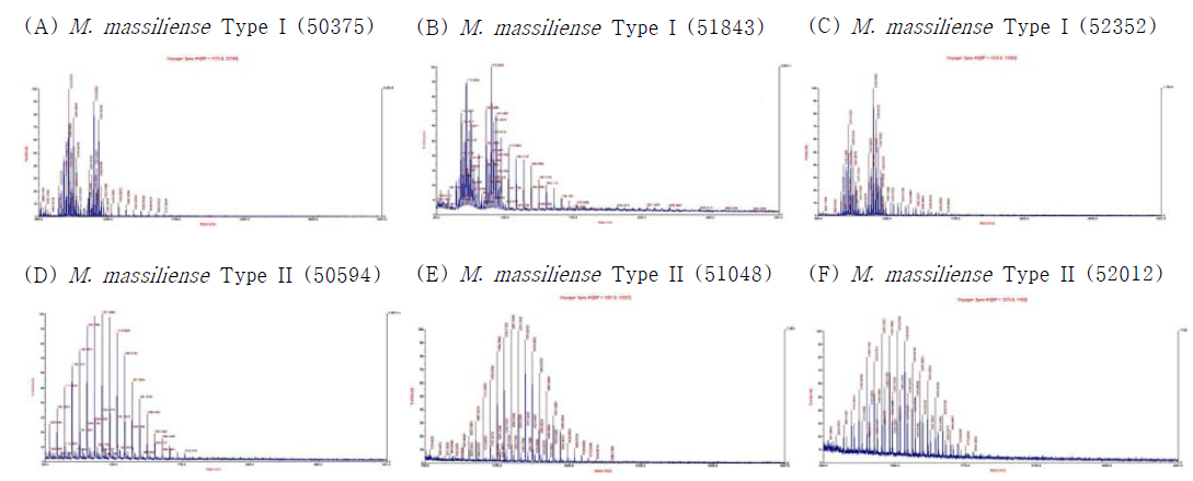 Type I (smooth) 및 Type II (rough) 균주에서 추출한 GPL을 MALDI-TOF로 분석한 결과. (A) M. massiliense Type I (50375) (B) M. massiliense Type I (51843) (C) M. massiliense Type I (52352) (D) M. massiliense Type II (50594) (E) M. massiliense Type II (51048) (F) M. massiliense Type II (52012)