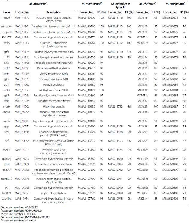 M. massiliense 50594 균주와 다른 신속 발육 항산성 균주의 GPL 생합성 관련 유전자를 비교한 표