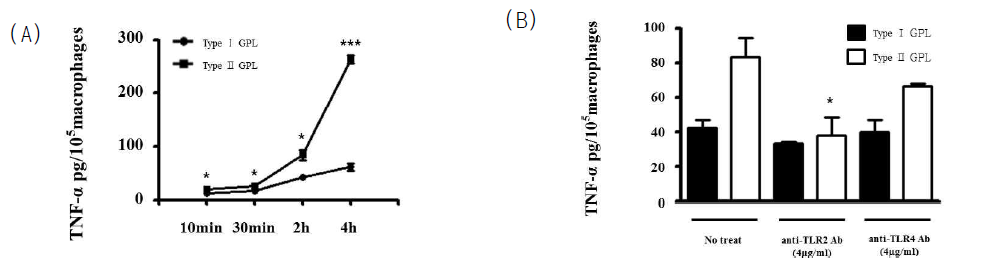 (A) Type I, II의 GPL을 처리한 후 TNF-α 레벨을 측정한 결과. (B) Anti-TLR2, -TLR4 antibody를 처리한 후 Type I, II GPL을 처리하여 그 세포 배양액으로 TNF-α 레벨을 측정한 결과.*** P <0.001, * P < 0.05