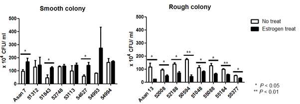 M. massiliense 및 M. abscessus 균을 human PBMC-derived monocyte에 감염 시 집락형에 따른 에스트로겐의 영향 분석. * P < 0.05, ** P < 0.01