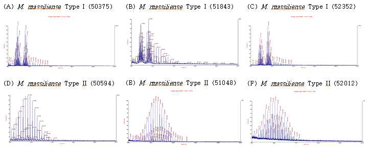 Type I (smooth) 및 Type II (rough) 균주에서 추출한 GPL을 MALDI-TOF로 분석한 결과. (A) M. massiliense Type I (50375) (B) M. massiliense Type I (51843) (C) M. massiliense Type I (52352) (D) M. massiliense Type II (50594) (E) M. massiliense Type II (51048) (F) M. massiliense Type II (52012)