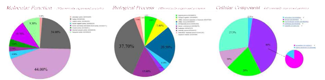 단백체 분석을 통해 확인한 차이가 나는 단백질들의 그룹별 기능별 분포도를 확인하였음