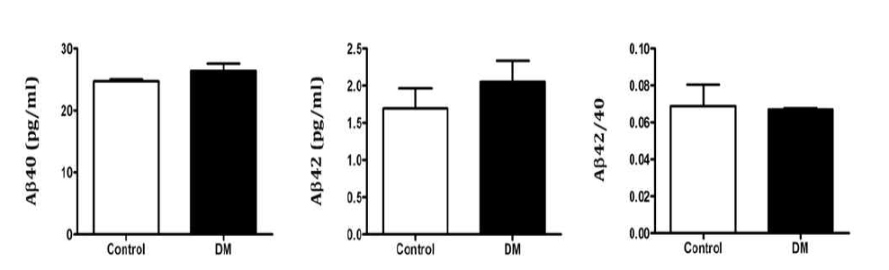 제 1형 당뇨병 동물 모델의 Aβ40, Aβ42, Aβ 42/40 ratio 비교