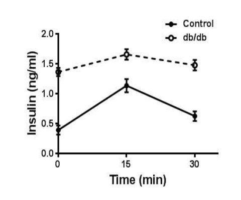 db/db mic 에서 IPGTT 시 분비되는 인슐린