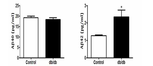 db/db mice와 대조군의 혈청 Aβ40, Aβ42 수치 비교