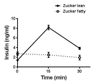 Zucker fatty rat 에서 IPGTT 시 분비되는 인슐린