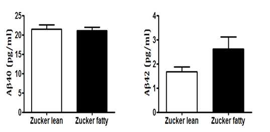 Zucker fatty rat 대조군의 혈청 Aβ40, Aβ42 수치 비교