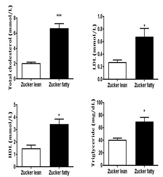 Zucker fatty rat 과 대조군의 지질 수치 비교