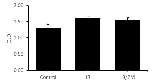 Kidney IR injury 모델에 pyridoxamine 처리에 따른 creatinine의 변화