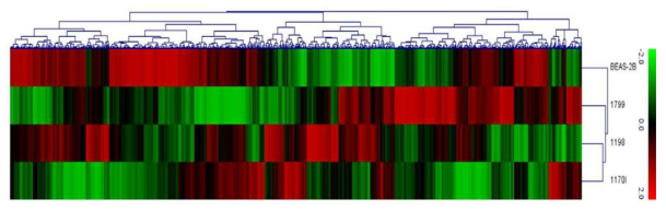 Affymetrix´s GeneChip miRNA Array를 이용한 암화 과정에 따른 miRNA 발현 변화