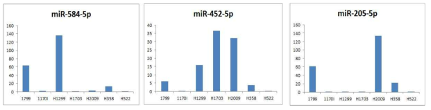 TaqMan assay를 이용한 흡연 폐암 세포주의 후보 암 억제 miRNA들의 기저 발현