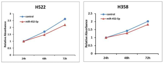 H522와 H358 세포주에서 miR-452-5p의 발현에 따른 세포 증식 변화
