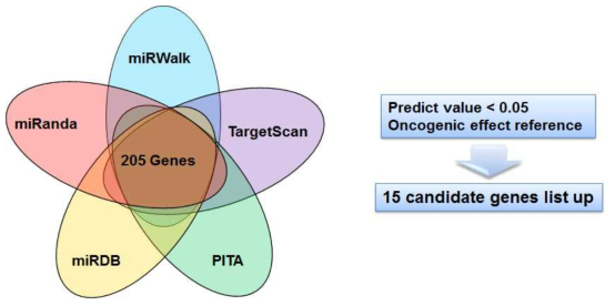 miRNA prediction algorithm을 이용한 타겟 유전자의 선별