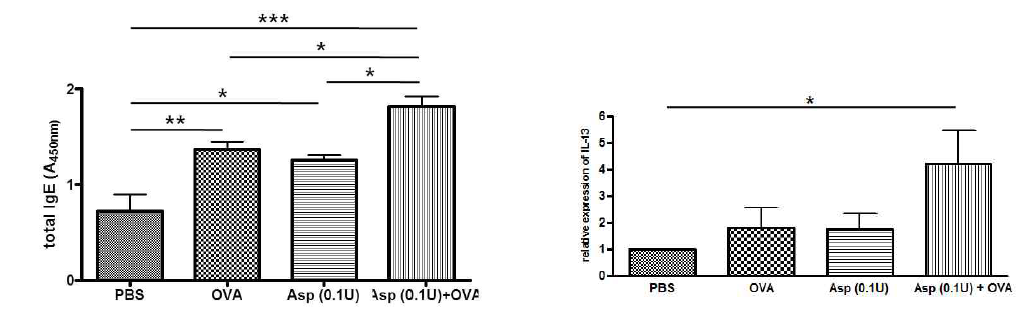 혈청 총 IgE와 IL-13 발현 양