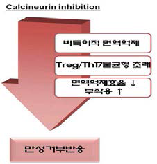 CNI기반 면역억제의 문제점