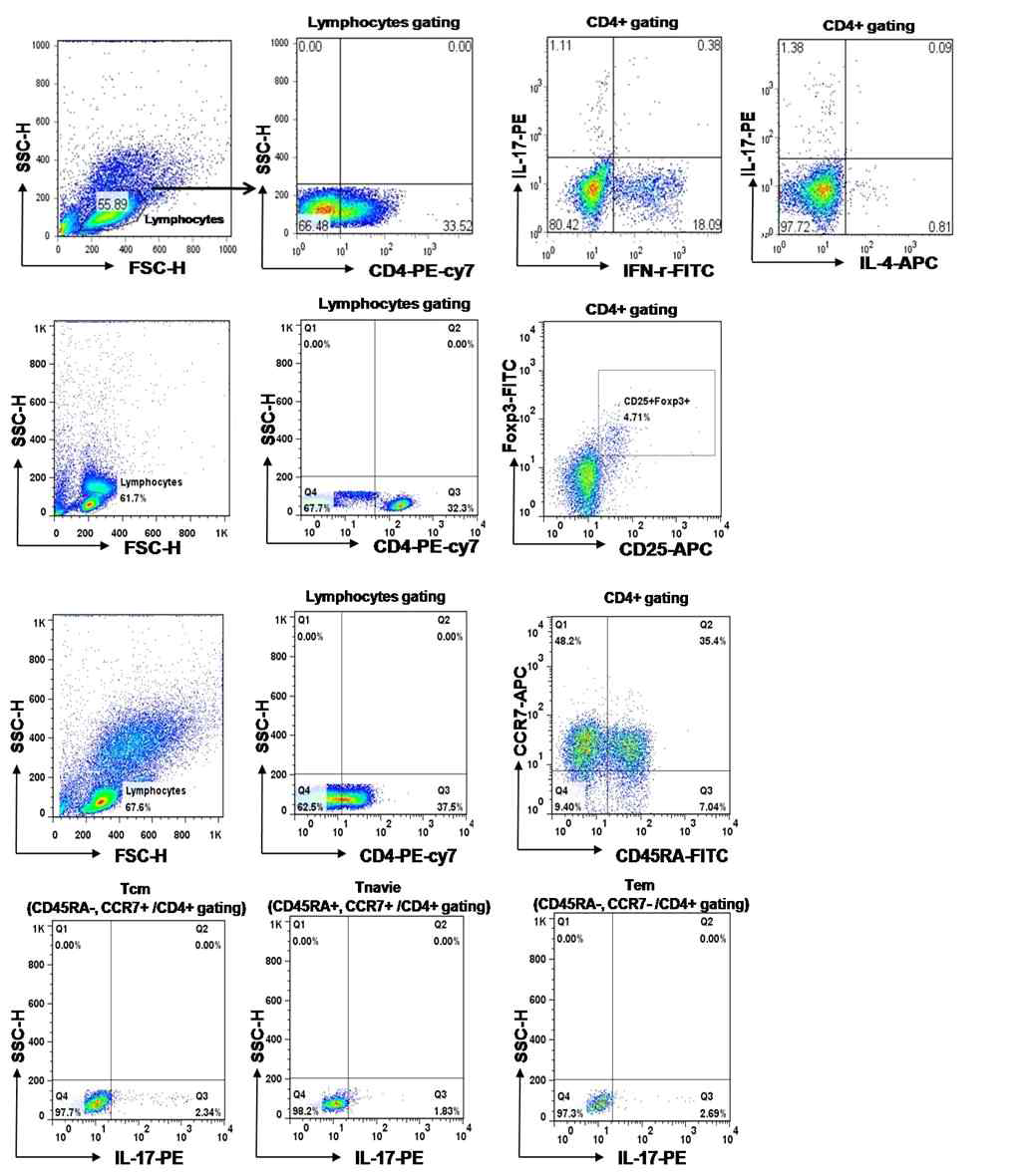 환자PBMC에서 유세포 방법을 통한 T세포 분석