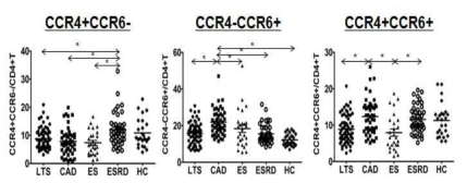 CCR4, CCR6 양성 T 세포 분석 결과