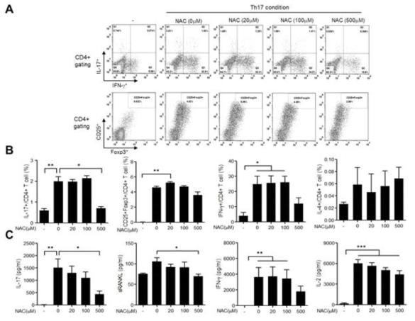 N-Acetyl-L-Cysteine (NAC)에 의한 Th17세포 억제효과