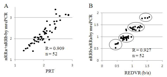 본 연구의 방법에 의한 결과와 기존에 보고된 PRT 및 REDVR로 측정한 결과와의 비교. 본 연구의 방법과 기존의 PRT (A) 혹은 REDVR (B) 에 의한 방법의 결과와 일치도가 크다는 것을 알 수 있다