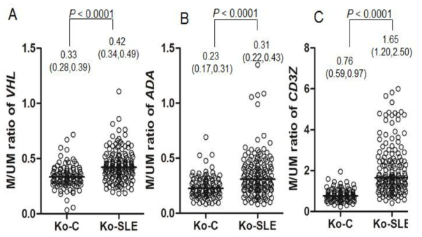 Methylation levels for VHL (A), ADA (B) and CD3Z (C) in SLE patients and controls. The SLE patients with SLE (Ko-SLE, n=157) showed significantly higher CGI methylations for all three marks than did the controls (Ko-C, n=101). P values by Mann-Whitney U test are indicated. The Y axis is the M/UM ratio, where M is the height of the methylated cytosine peak, and UM is that of the unmethylated cytosine peak, in the MSBE results. The horizontal lines are the median M/UM values, which are shown along with the first and the third quartile values for each group