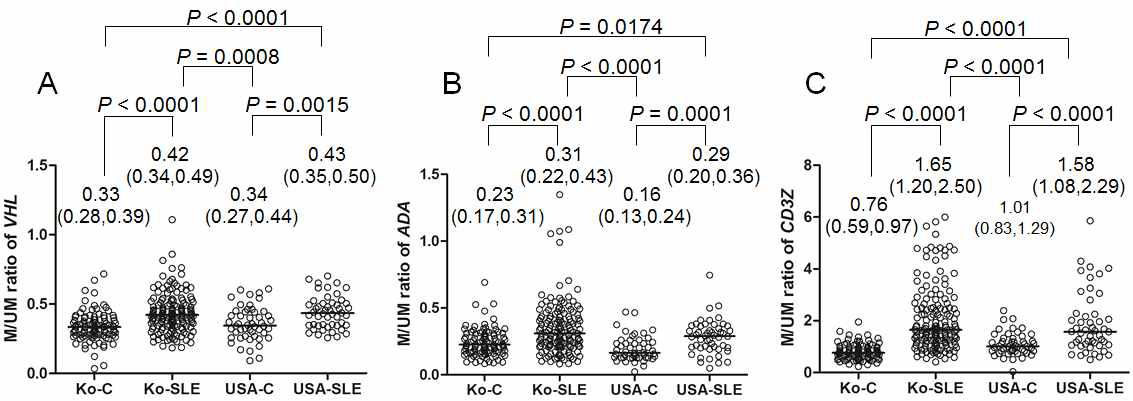 Methylation levels for CD3Z (A), VHL (B) and ADA (C) in Korean and American SLE patients and controls. The Korean patients with SLE (Ko-SLE, n=157) showed significantly higher CpG island (CGI) methylations for all three marks than did the controls (Ko-C, n=101). Significantly higher methylations for the three marks were also shown in the American cohorts (USA-SLE, American SLE patients, n=50; USA-C, American controls, n=50). P values by Mann-Whitney U test are indicated. The Y axis is the M/UM ratio, where M is the height of the methylated cytosine peak, and UM is that of the unmethylated cytosine peak, in the MSBE results. The horizontal lines are the median M/UM values, and the first and the third quartile values for each group are shown