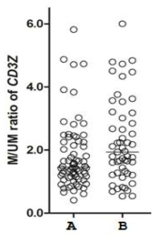 CD3Z methylation level과 SLE disease activity index와의 관련성. SLE disease activity index (SLEDAI)를 환자 혈액을 채취한 부근 1개월 이내의 chart에서 review하고 이들을 SLEDAI가 높은 군과 낮은 군으로 median value로 구별한 후, SLEDAI가 낮은 군 (A, N=71)와 높은 군 (B, N=53)사이의 CD3Z methylation level을 비교하였다. 그림과 같이 SLEDAI가 높은 군에서 유의하게 CD3Z methylation level이 높다는 것을 확인할 수 있었다 (P = 0.034)