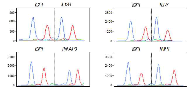 mrcPCR로 측정한 IL12B, TLR7, TNAIP3, TNIP1의 실시 예