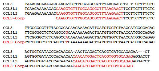 CCL3L1/3유전자의 경우 CCL3L/CCL3L1/CCL3L3와 같은 세가지 유전자가 유사한 서열을 가지고 있어서 CCL3L1과 CCL3L3 서열만 증폭되도록 PCR primer를 고안하였고 (붉은색 서열), 그 차이가 있는 염기인 G와 A를 구별하도록 하여 카피수를 측정할 수 있도록 고안하였음. CCL3-Comp는 CCL3L1/3의 competitor서열
