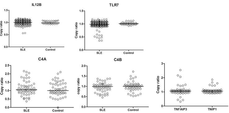 IL12B, TLR7, C4A, C4B, TNFAIP3, TNIP1의 카피수 비교결과. IL12B, TLR7, C4A, C4B,와 같은 네가지 유전자의 카피수는 SLE와 control에서 모두 측정하였음. TLR7 카피수가 감소되어 있는 SLE 환자는 대부분 남성이었으므로 X염색체에 존재하는 TLR7의 카피수가 적었던 case들은 유의성은 없는 것으로 판단하고 있음. TNFAIP3와 TNIP1는 대조군에 대한 연구가 아직 진행중에 있음