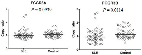 FCGR3A와 FCGR3B의 카피수 측정결과. SLE환자와 대조군에서 FCGR3B는 유의한 차이가 있었으며, FCGR3A의 경우는 borderline차이가 있었음