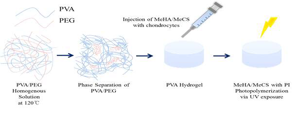 공성 PVA 하이드로겔 제작 모식도
