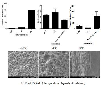 온도에 따른 PVA 하이드로겔의 특성