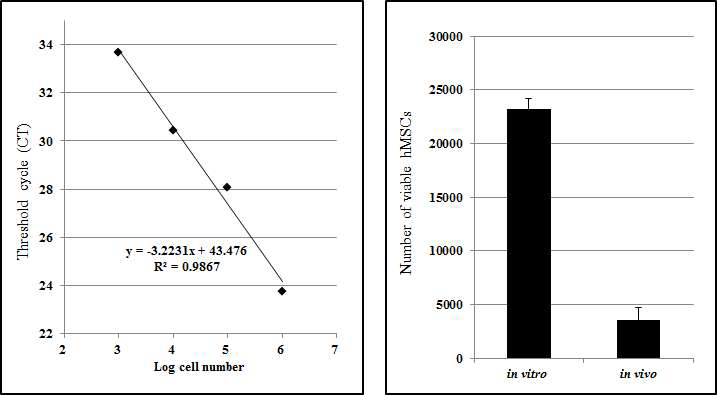 OIR P14에 각각 4x104 hMSC injection. Day 1 적출 후 human GAPDH quantitative RT-PCR 진행. 그 결과 주사한 세포의 10% 정도가 생존하고 있음을 알 수 있음. 그렇지만 추가 연구에서 P18 이후에는 안구내 염증 반응이 나타나 장기 결과를 관찰할 수 없는 한계가 나타남