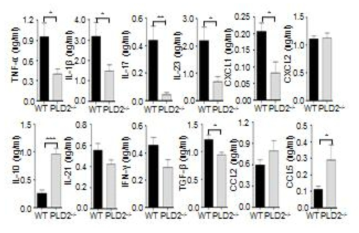 패혈증 동물모델에서 사이토카인 생성에 PLD2가 미치는 영향