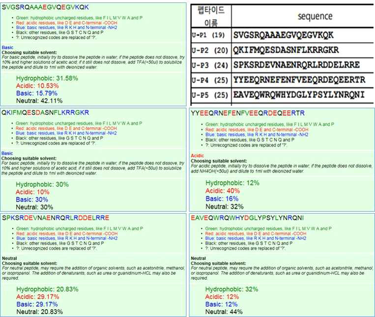 다섯 부분으로 나누어서 합성된 각 Ucma 펩타이드의 특성