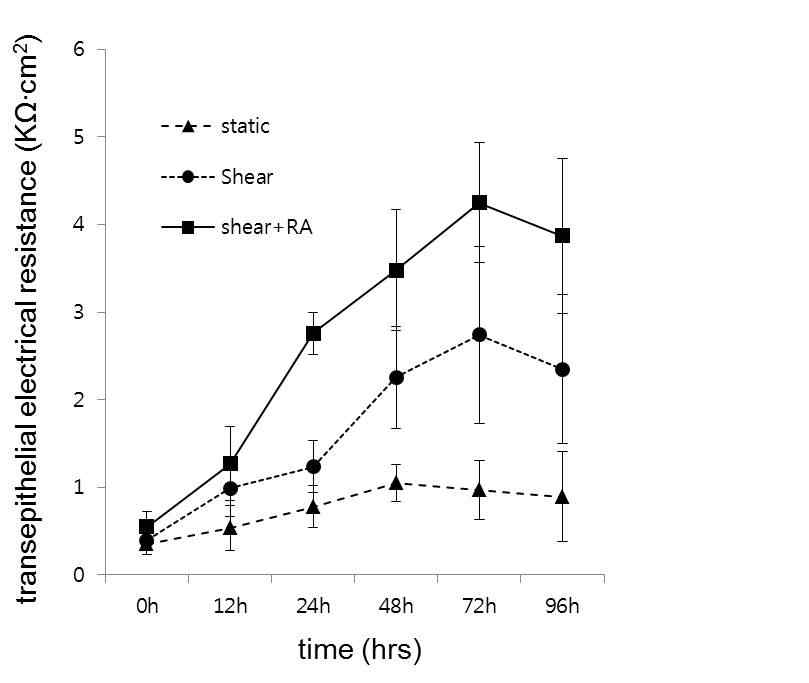 laminar shear stress와 RA 자극에 의한 chip 내 transepithelial electrical resistance (TEER)의 변화: shear stress와 RA 자극을 동시에 시행한 chip의 upper vs. lower chamber 간의 TEER값이 통계적으로 의미 있게 향상되어 tight junction이 적절히 형성되었음을 시사함