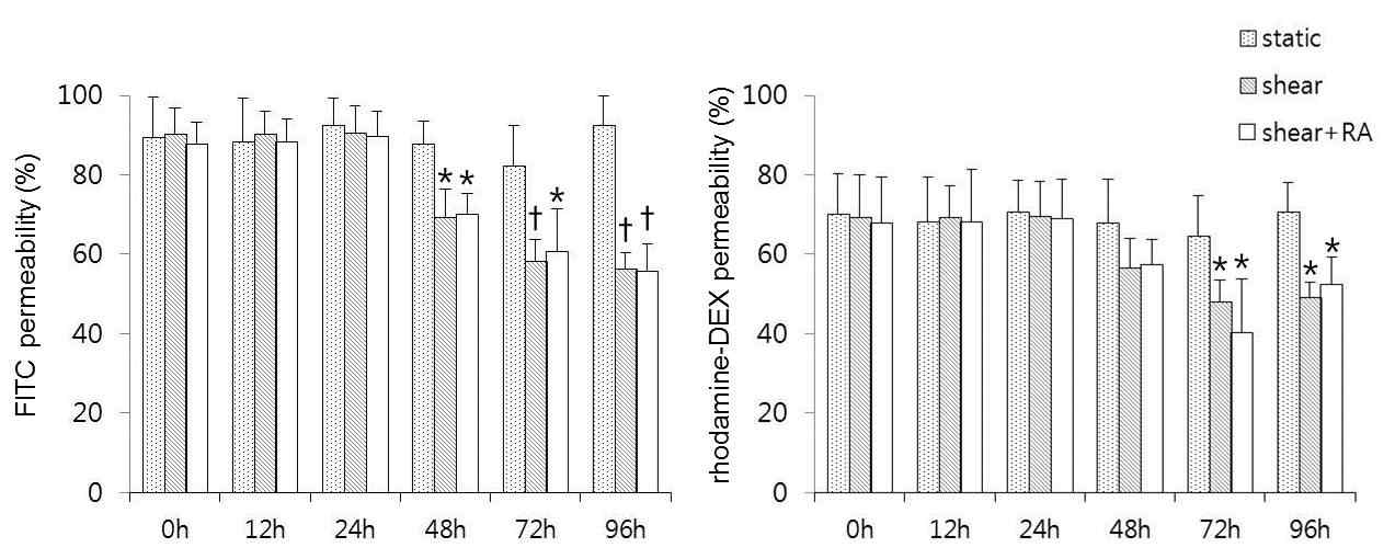 laminar shear stress 와 RA 자극에 의한 upper and lower channel간의 FITC-alb 및 rhodamine-DEX의 투과율의 시간별 변화 (*P < 0.05; †P < 0.01)