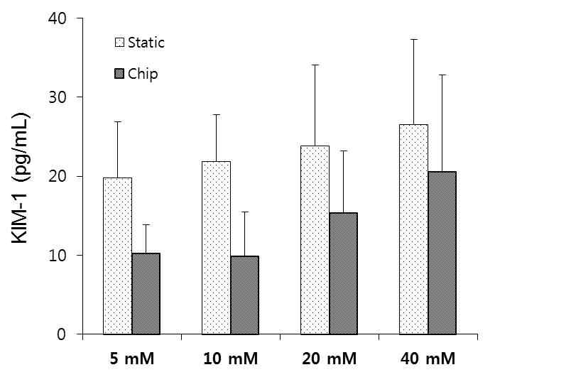 static vs. chip 에서 표시된 농도에 따른 podocyte channel outlet effluent KIM-1 level