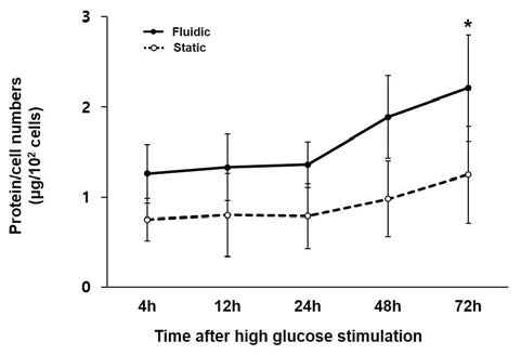 chip 내 족세포와 정적환경 족세포에서 고포도당 자극에 따른 세포 비후의 차이. chip (실선) 내 족세포에서 유의미한 세포 비후를 관찰함(*P < 0.05 vs. baseline)