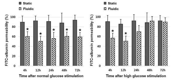 FSS 또는 static 환경에서 FITC-alb의 permeability의 변화. 정상 포도당 자극의 경우 시간에 상관 없이 FSS군에서 perameability가 유의하게 낮음. 고포도당 자극의 경우 24시간째부터 FSS의 permeability가 증가함을 확인함. 따라서 고포도당 환경에서 단백의 permeability 증가를 모사할 수 있음을 증명함